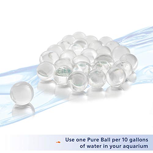 Aqueon Pure Bacteria Supplement - 24 Pack (10 Gallon)