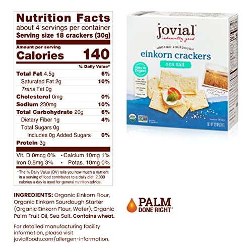 JOVIAL Organic Sea Salt Sourdough Einkorn Crackers, 4.5 OZ