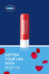 Vaseline Lip Therapy Stick (2 Aloe - 2 Original)