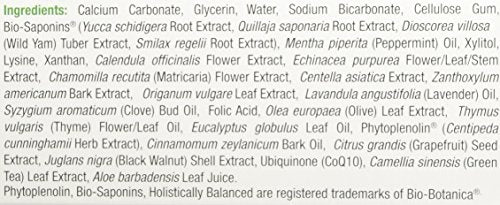Nature's Answer PerioBrite Toothpaste, Cool Mint, 4-Ounce (Pack of 2) Fluoride Free with CoQ10 & Folic Acid | Whitens Teeth | Freshens Breath | Removes Plaque | Minimizes Dry Mouth