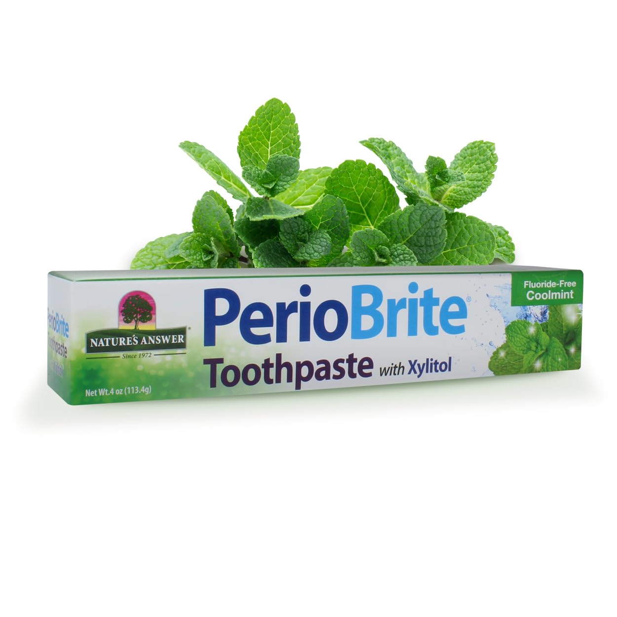Nature's Answer PerioBrite Toothpaste, Cool Mint, 4-Ounce (Pack of 2) Fluoride Free with CoQ10 & Folic Acid | Whitens Teeth | Freshens Breath | Removes Plaque | Minimizes Dry Mouth
