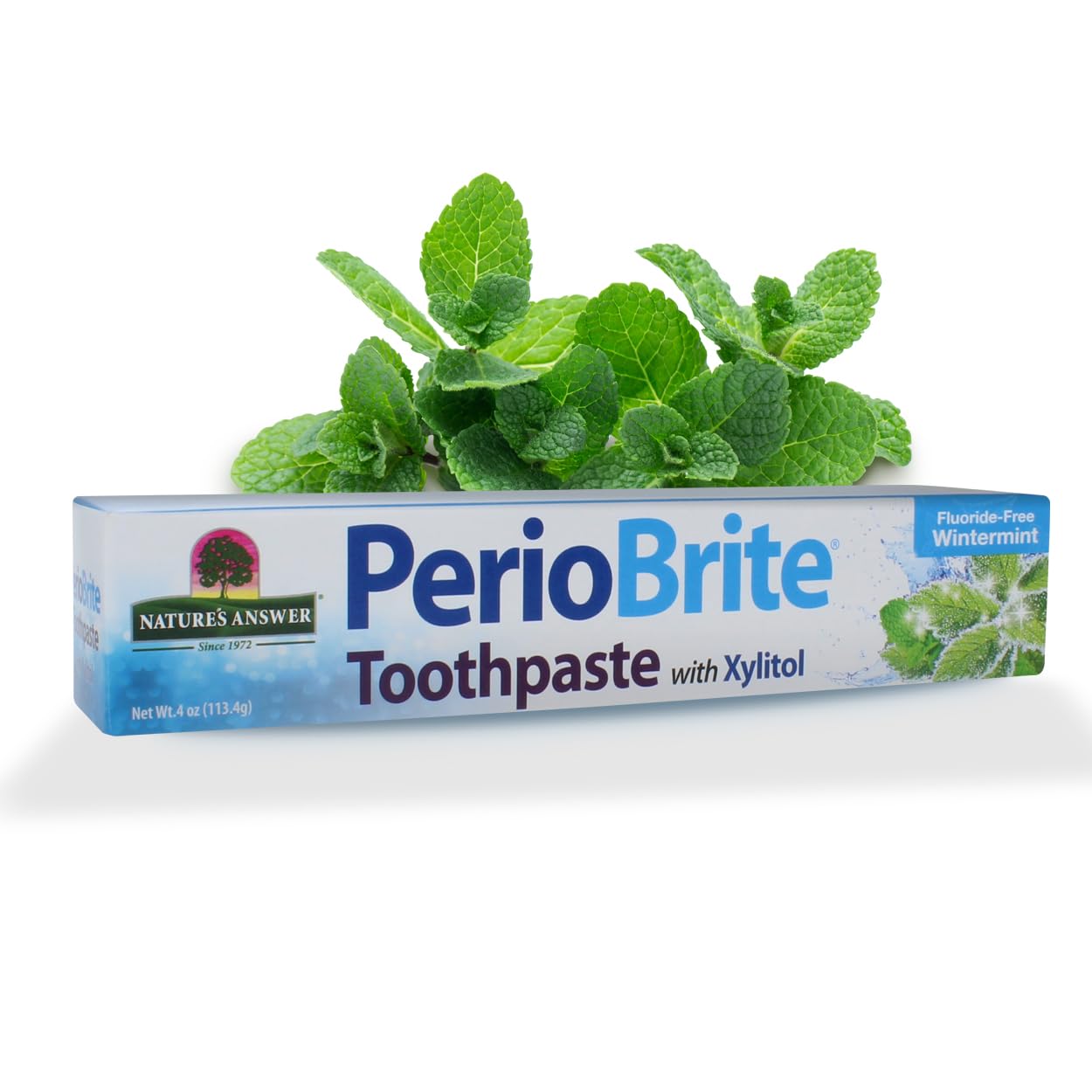 Nature's Answer PerioBrite Toothpaste, Cool Mint, 4-Ounce (Pack of 2) Fluoride Free with CoQ10 & Folic Acid | Whitens Teeth | Freshens Breath | Removes Plaque | Minimizes Dry Mouth