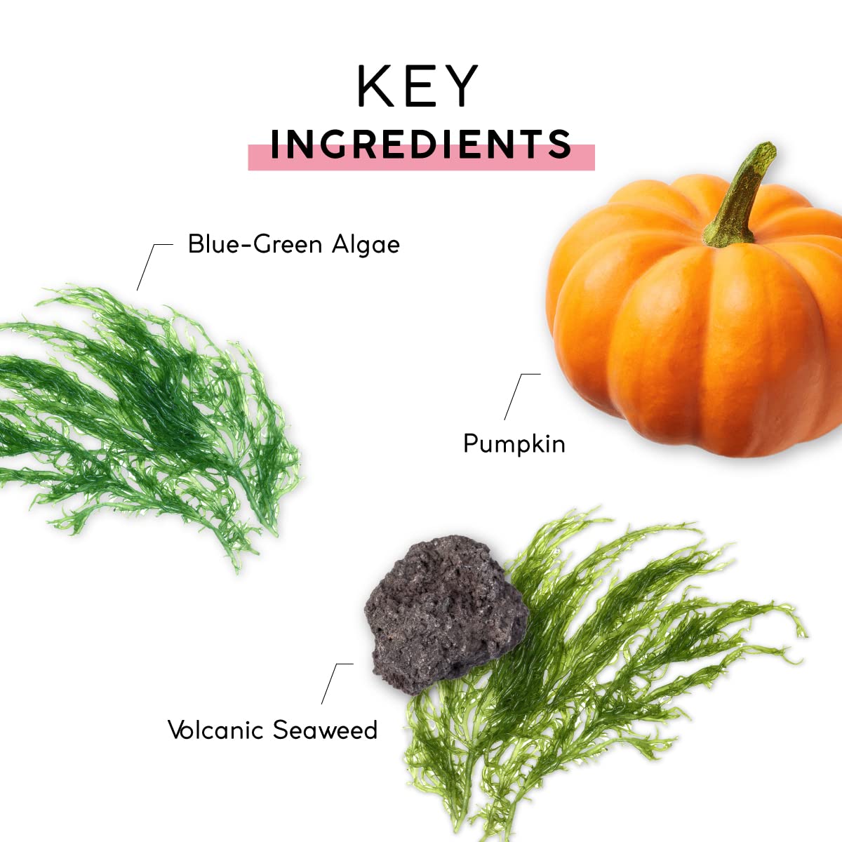 MyChelle Dermaceuticals Fruit Enzyme Cleanser