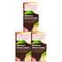 Hawaiian Islands Tea Company Mango Maui Black Tea, All Natural - 20 Teabags (1 Box)