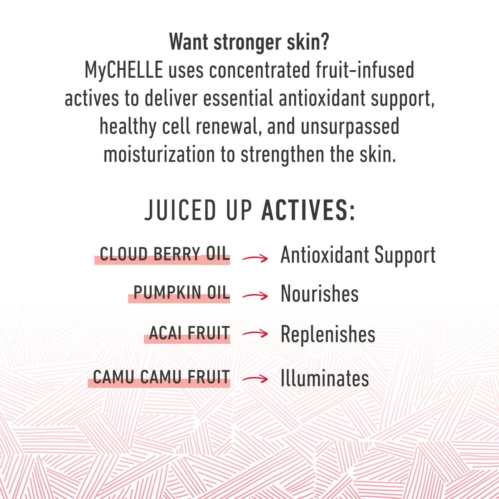 MyChelle Dermaceuticals Pumpkin Renew Cream (1.2 Fl Oz) - Daily Face Moisturizer with Pumpkin Seed Oil, Cloudberry Extract & Antioxidants - Moisturizes, Nourishes & Strengthens Skin