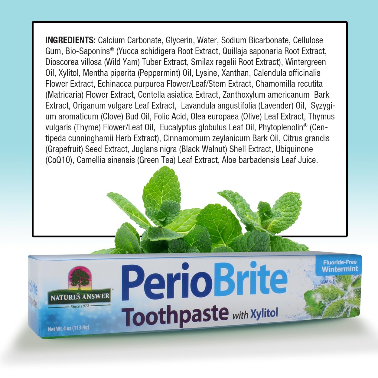 Nature's Answer PerioBrite Toothpaste, Cool Mint, 4-Ounce (Pack of 2) Fluoride Free with CoQ10 & Folic Acid | Whitens Teeth | Freshens Breath | Removes Plaque | Minimizes Dry Mouth