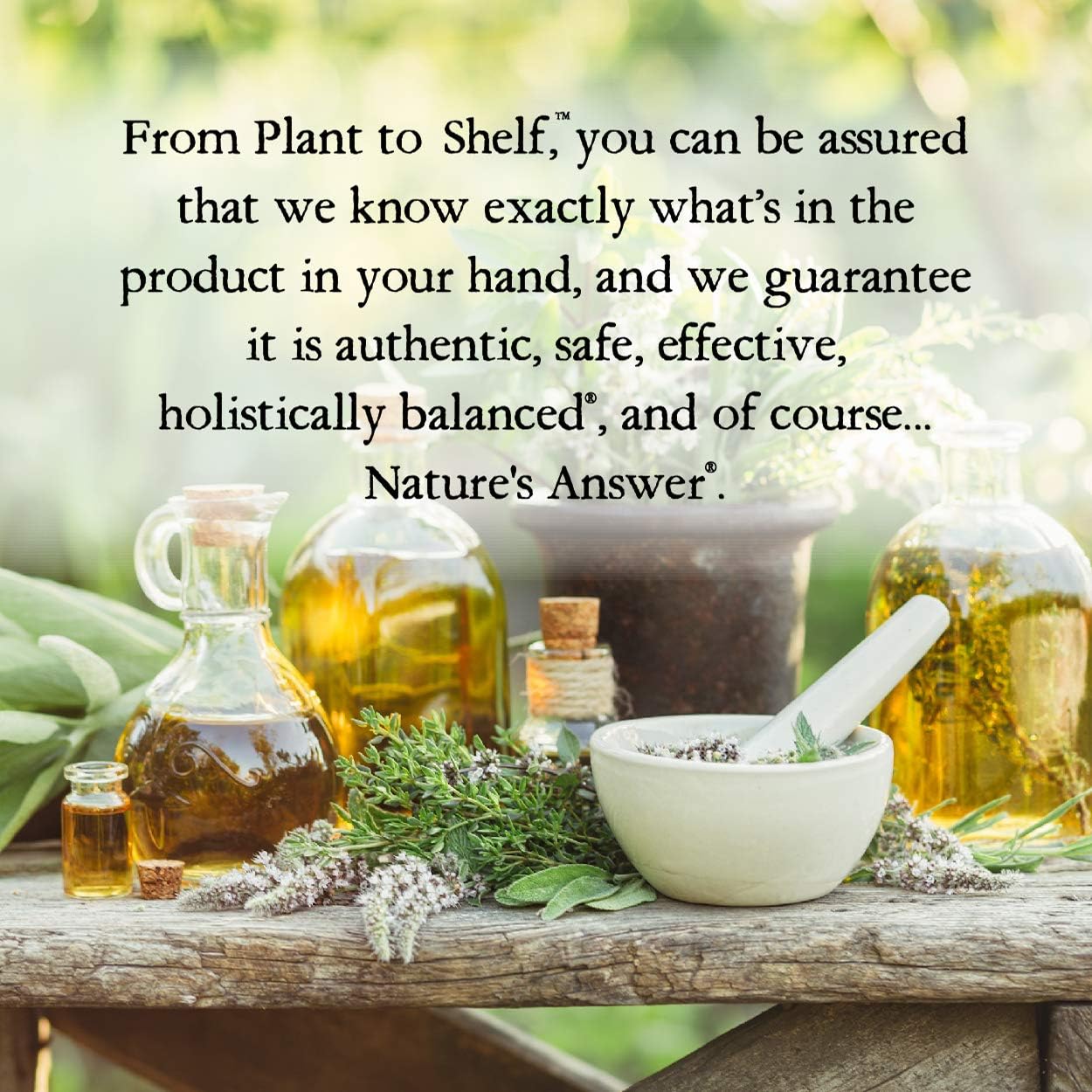 Nature's Answer Periobrite Toothpaste, Cool Mint, 4 Ounce (Pack of 6) | for Sensitive Teeth | Whitens Teeth | Freshens Breath | Minimizes Dry Mouth