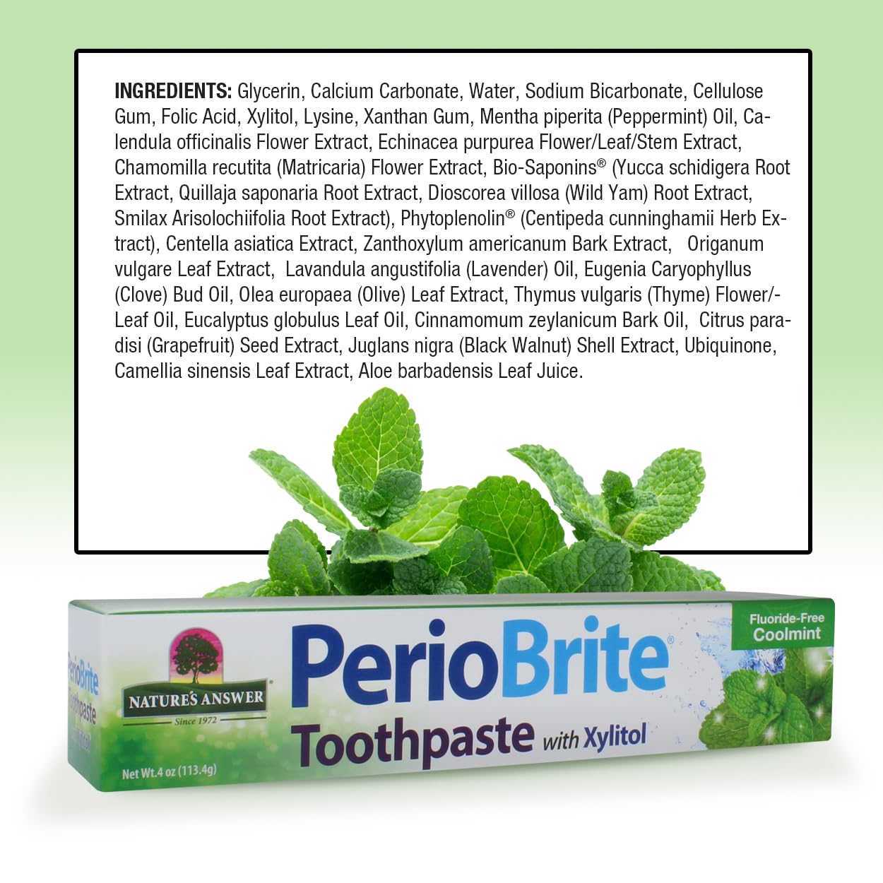 Nature's Answer PerioBrite Toothpaste, Cool Mint, 4-Ounce (Pack of 2) Fluoride Free with CoQ10 & Folic Acid | Whitens Teeth | Freshens Breath | Removes Plaque | Minimizes Dry Mouth