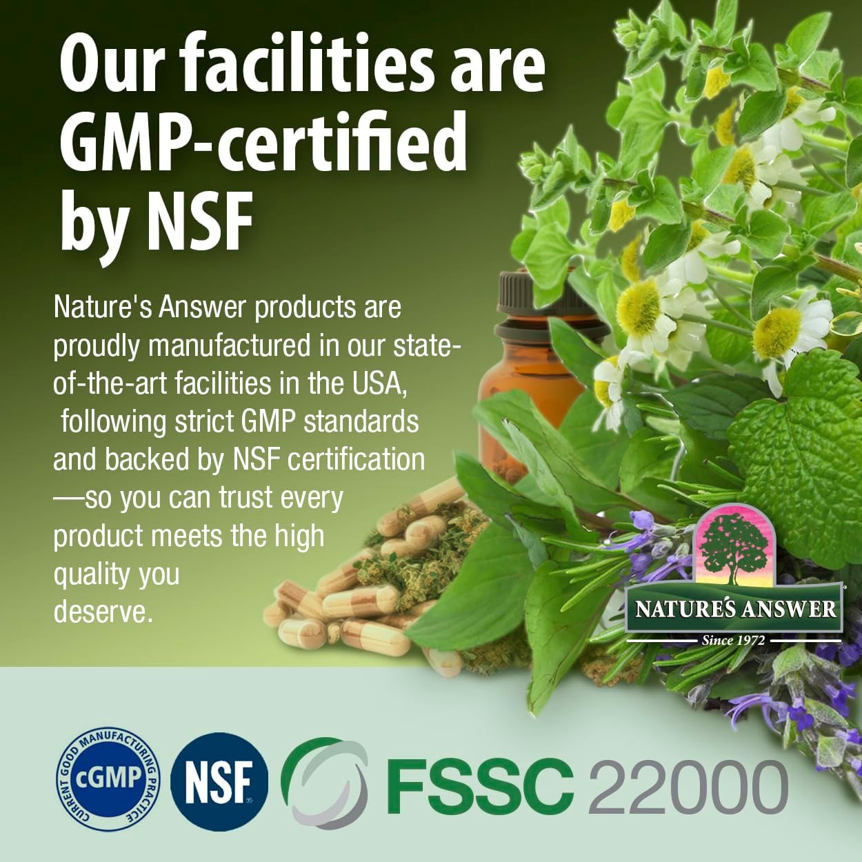 Nature's Answer Ashwagandha Root | Herbal Supplement Maintain Healthy Immune Function | Supports Body Against Stress | Gluten-Free, Alcohol-Free & Vegan 2oz