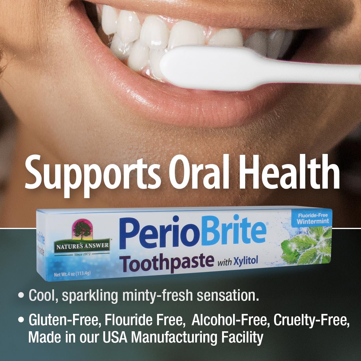 Nature's Answer PerioBrite Toothpaste, Cool Mint, 4-Ounce (Pack of 2) Fluoride Free with CoQ10 & Folic Acid | Whitens Teeth | Freshens Breath | Removes Plaque | Minimizes Dry Mouth