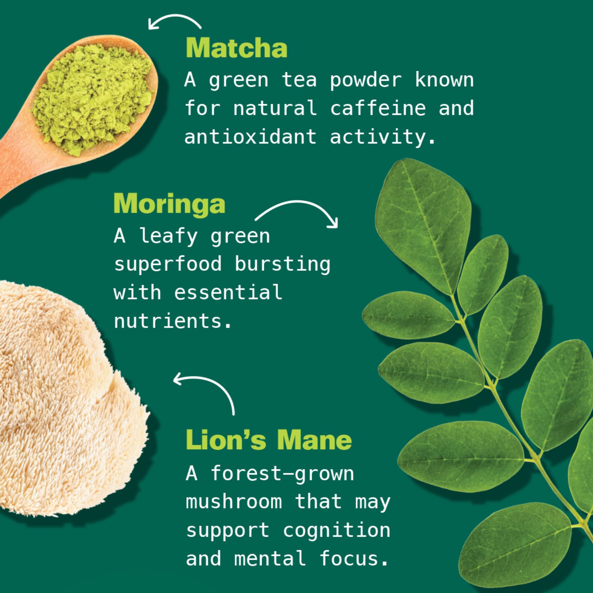Kuli Kuli Matcha Moringa Organic Superfood Latte - Matcha Green Tea Powder for Natural Caffeine & Antioxidants with Moringa and Lion’s Mane for Cognitive Support and Mental Focus