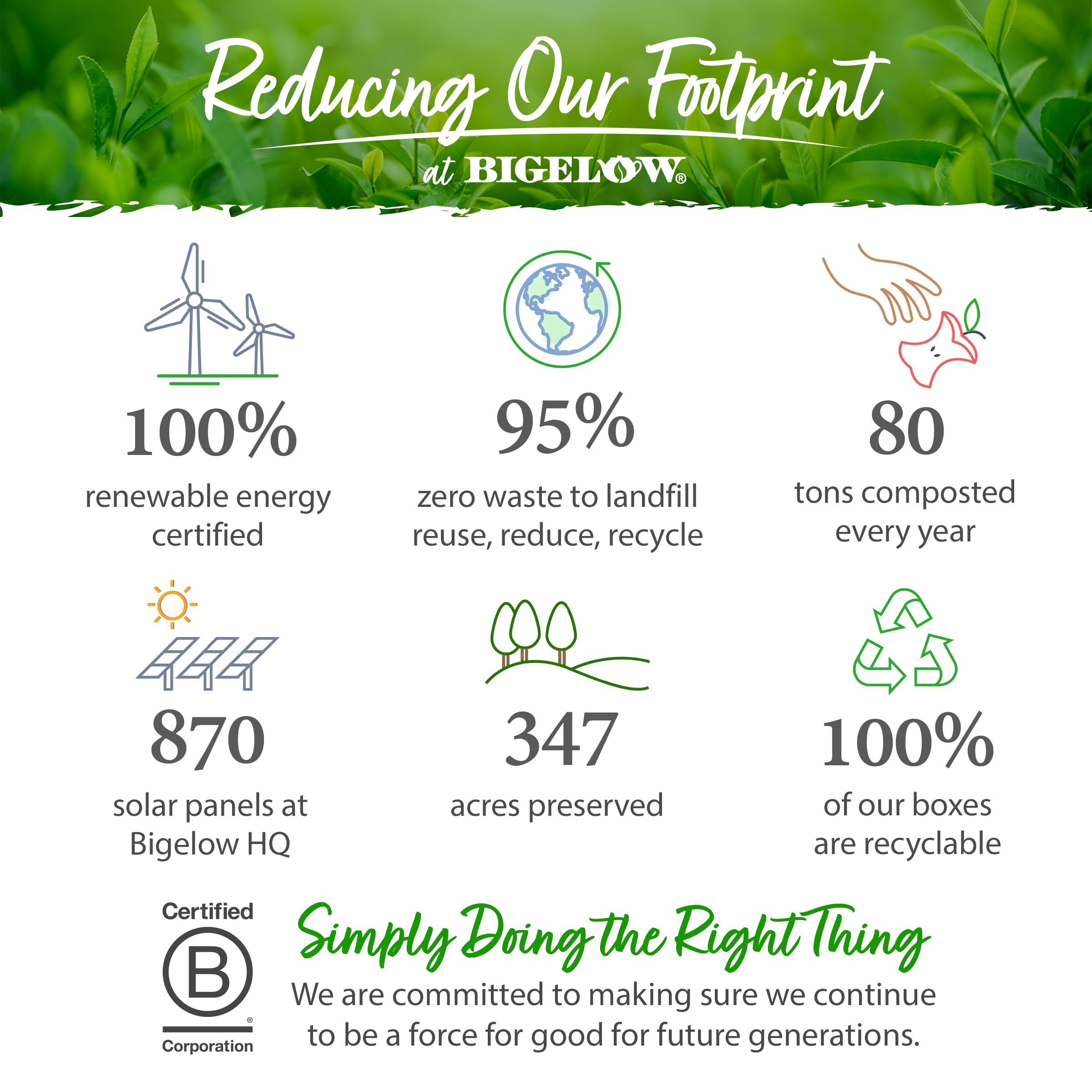 Bigelow Botanicals Cold Water Infusion Strawberry Lemon Orange Blossom Tea Bags 18 Count Box (Pack of 1), Herbal Infusion, Caffeine Free, 18 Tea Bags Total