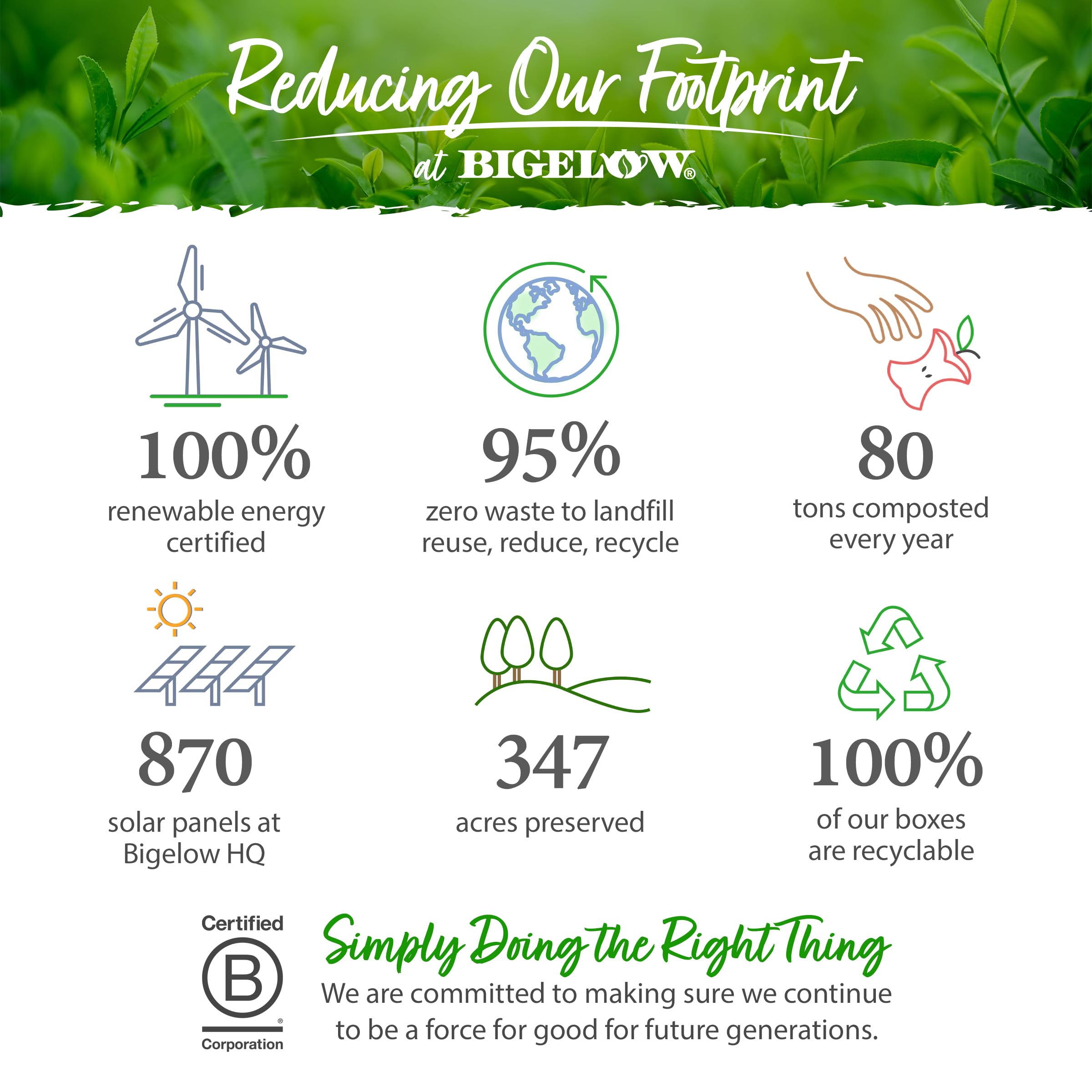 Bigelow Botanicals Cold Water Infusion Strawberry Lemon Orange Blossom Tea Bags 18 Count Box (Pack of 1), Herbal Infusion, Caffeine Free, 18 Tea Bags Total