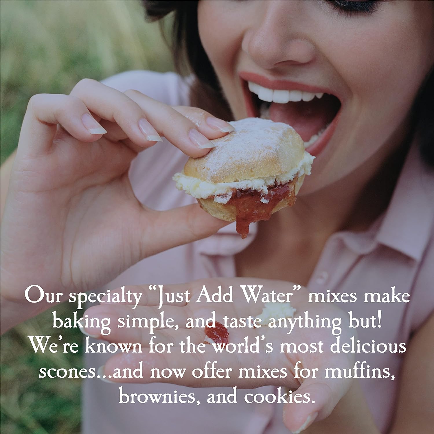 English Scone Mix, Wild Blueberry by Sticky Fingers Bakeries – Easy to Make English Scones Fresh Baked, Makes 12 Scones (1pk)