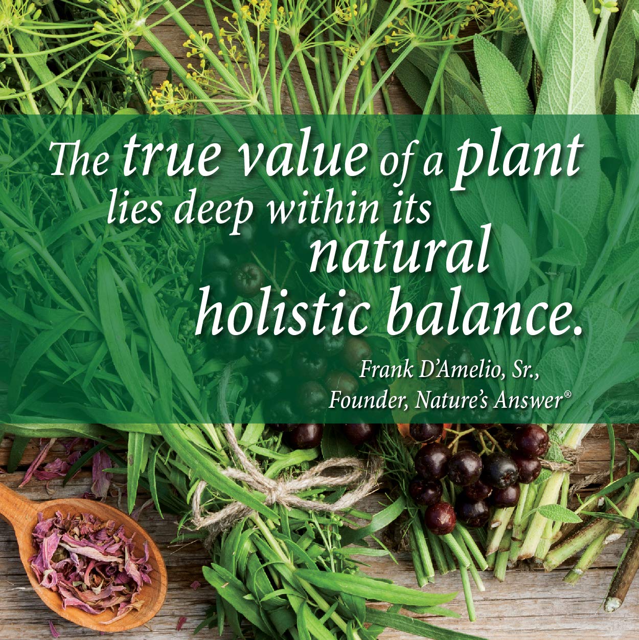 Nature's Answer PerioBrite Toothpaste, Cool Mint, 4-Ounce (Pack of 2) Fluoride Free with CoQ10 & Folic Acid | Whitens Teeth | Freshens Breath | Removes Plaque | Minimizes Dry Mouth