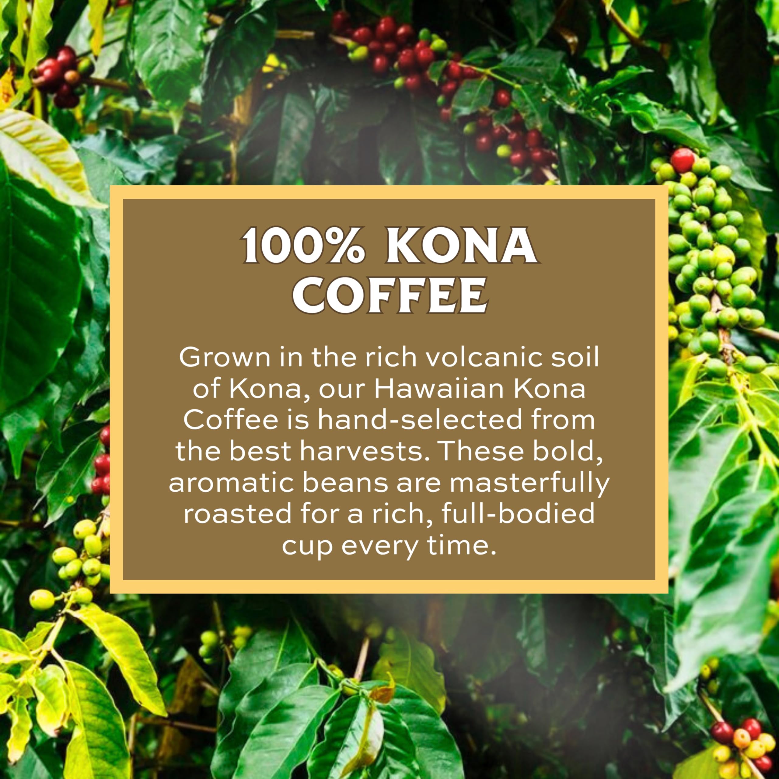 Lion Coffee Vanilla Macadamia Flavored Ground Coffee, Light Roast, Hawaiian Inspired Taste - 10 Ounce Bag