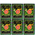 Hawaiian Islands Tea Company Mango Maui Black Tea, All Natural - 20 Teabags (1 Box)