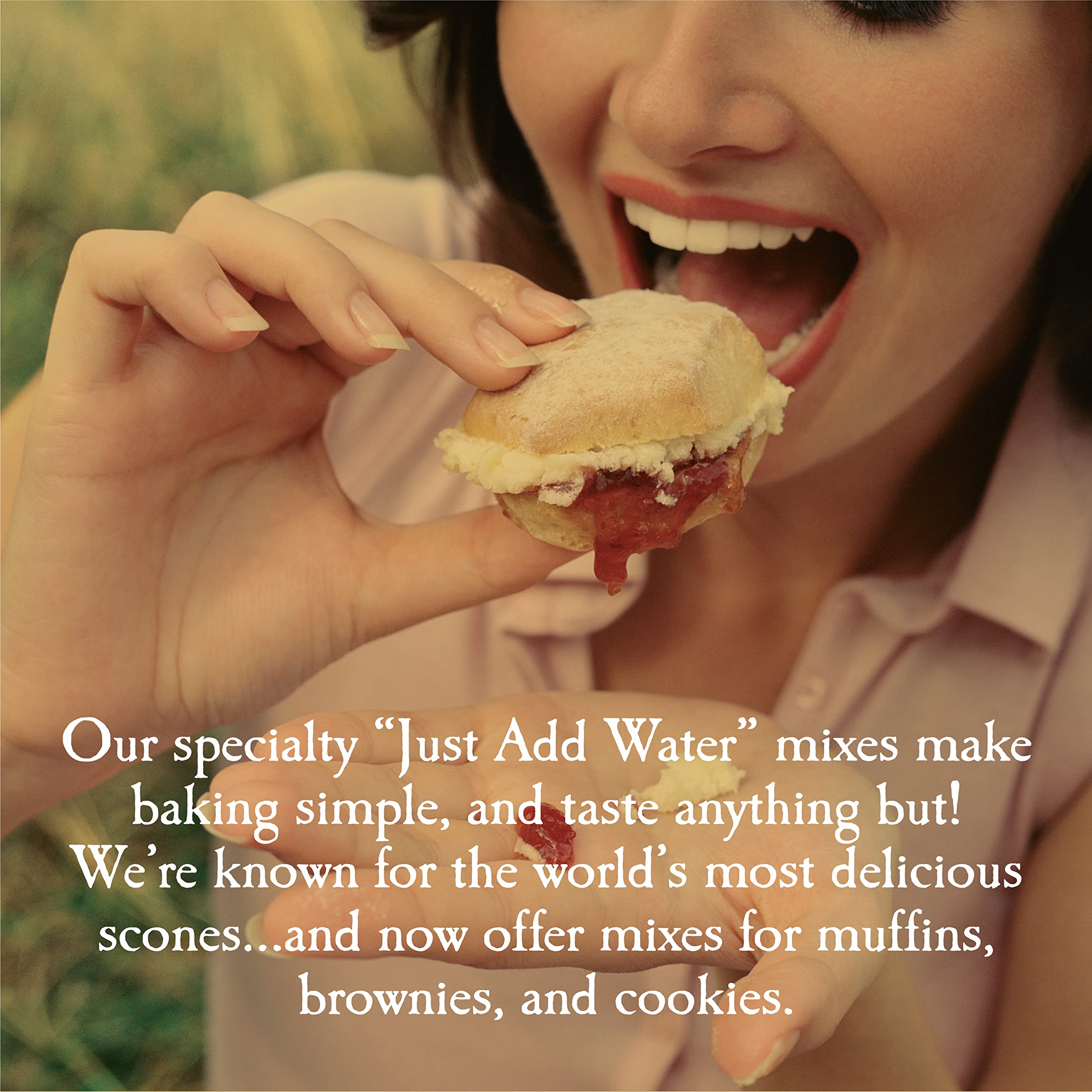 English Scone Mix, Lemon Poppyseed by Sticky Fingers Bakeries – Easy to Make English Scones Fresh Baked, Makes 12 Scones (2 pk)