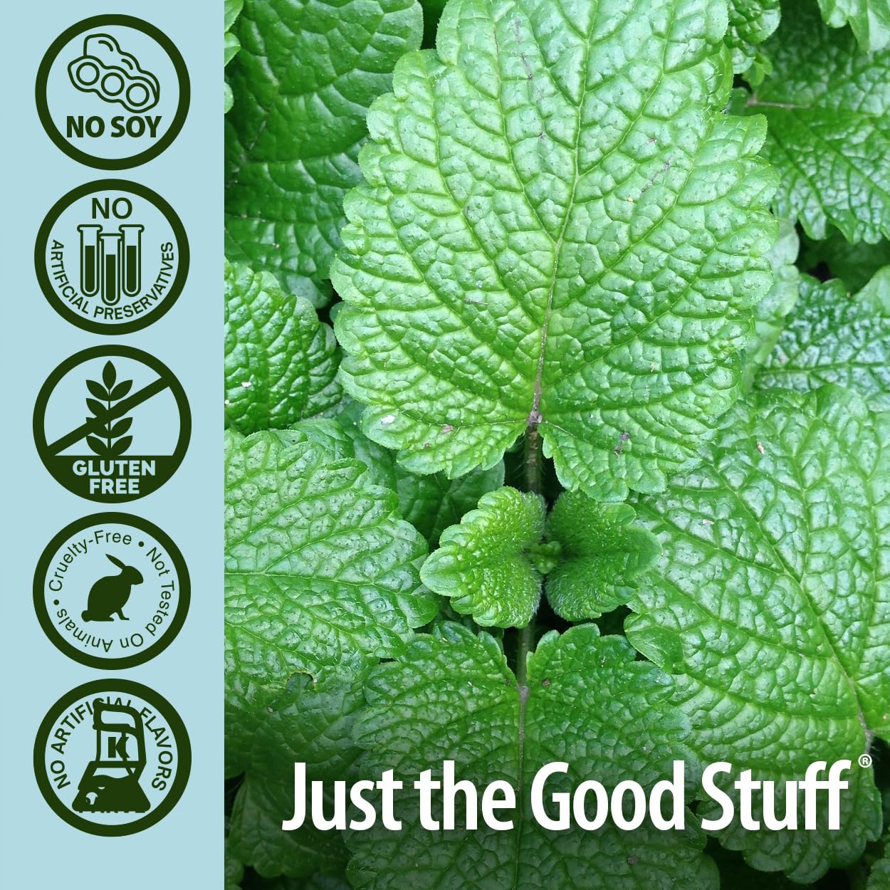 Nature's Answer PerioBrite Toothpaste, Cool Mint, 4-Ounce (Pack of 2) Fluoride Free with CoQ10 & Folic Acid | Whitens Teeth | Freshens Breath | Removes Plaque | Minimizes Dry Mouth