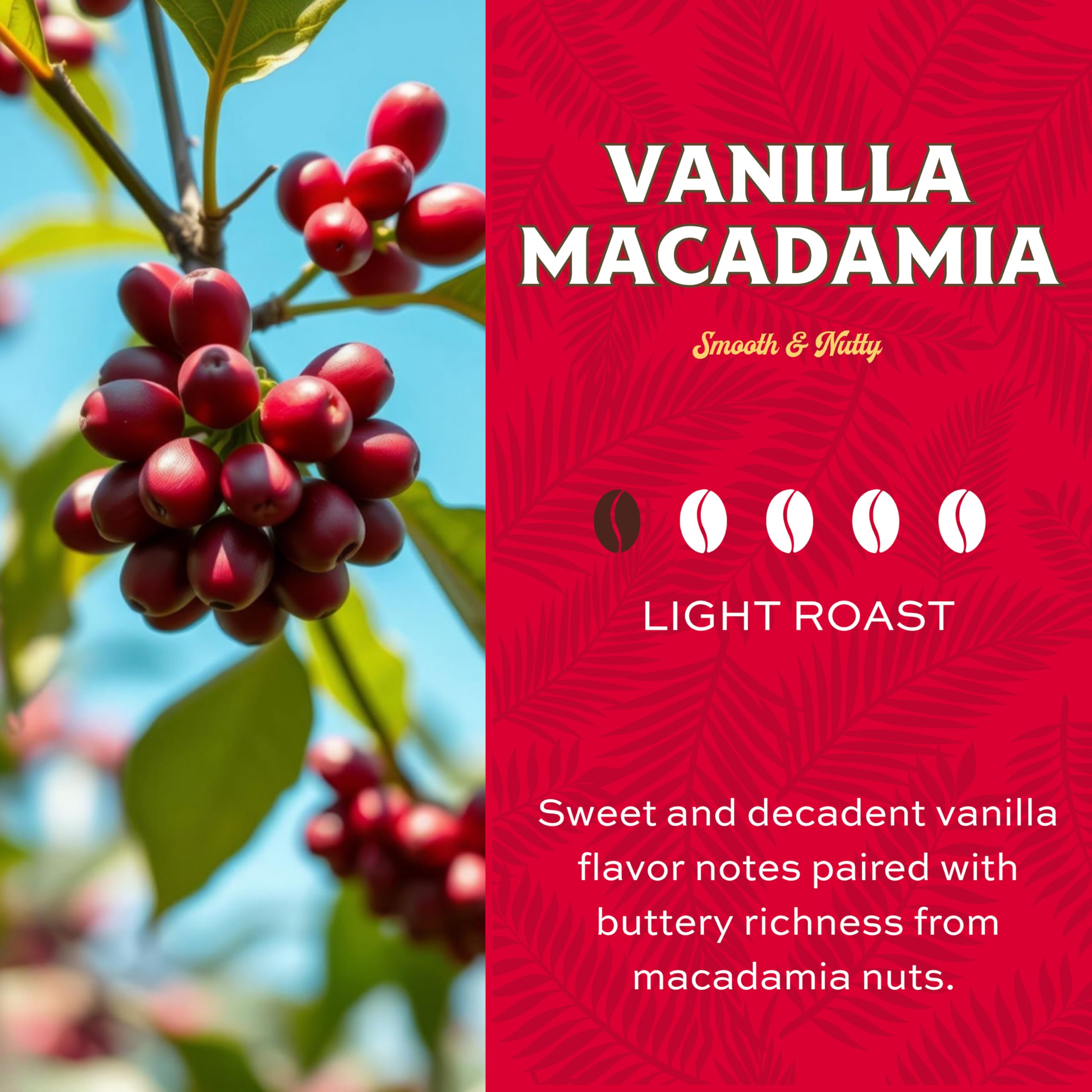 Lion Coffee Vanilla Macadamia Flavored Ground Coffee, Light Roast, Hawaiian Inspired Taste - 10 Ounce Bag