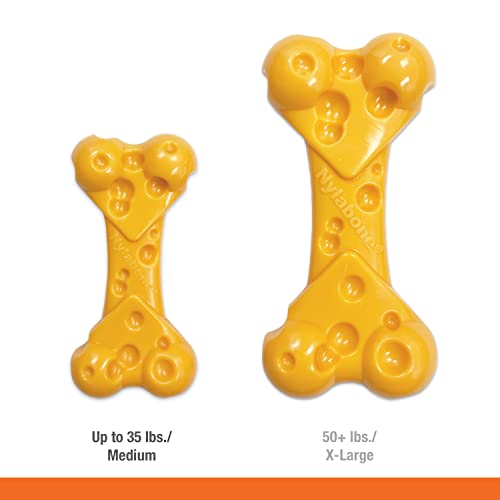 Nylabone Cheese Dog Toy - Power Chew Dog Toy for Aggressive Chewers - Medium/Wolf (1 Count)