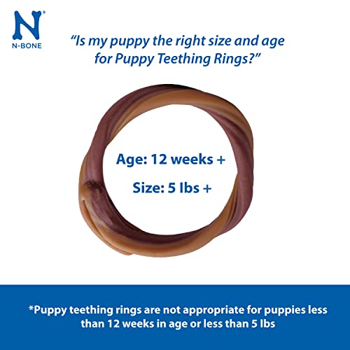 N-Bone Puppy Teething Rings Grain-Free Blueberry BBQ, 1 Count