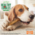 Nylabone Healthy Edibles All-Natural Long Lasting Bacon Flavor Chew Treats 1 Count Bacon Medium/Wolf