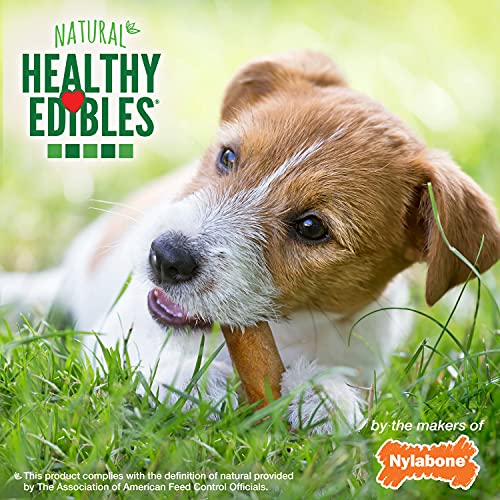 Nylabone Healthy Edibles All-Natural Long Lasting Bacon Flavor Chew Treats 12 count Bacon Small/Regular