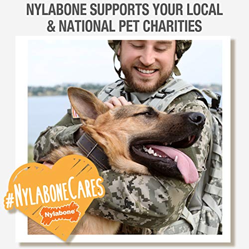 Nylabone Healthy Edibles All-Natural Long Lasting Bacon Flavor Chew Treats 1 Count Bacon Medium/Wolf