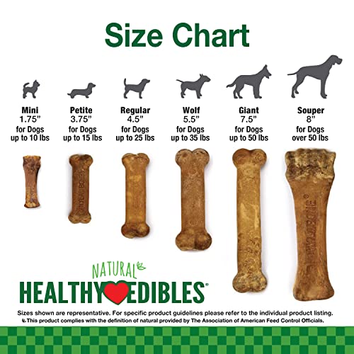 Nylabone Healthy Edibles All-Natural Long Lasting Bacon Flavor Chew Treats 1 Count Bacon Medium/Wolf