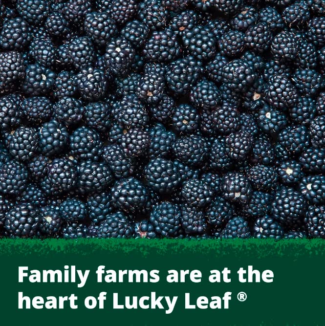 Lucky Leaf Premium Blackberry Pie Filling or Topping 21 oz 4 Pack