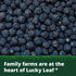 Lucky Leaf Premium Blackberry Pie Filling or Topping 21 oz 4 Pack